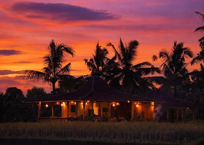 Les Mandarines - Rice Fields & Jungle Retreat Villa Ubud
