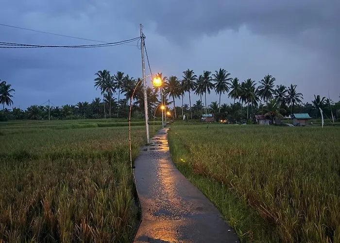 Les Mandarines - Rice Fields & Jungle Retreat * Ubud (Bali)