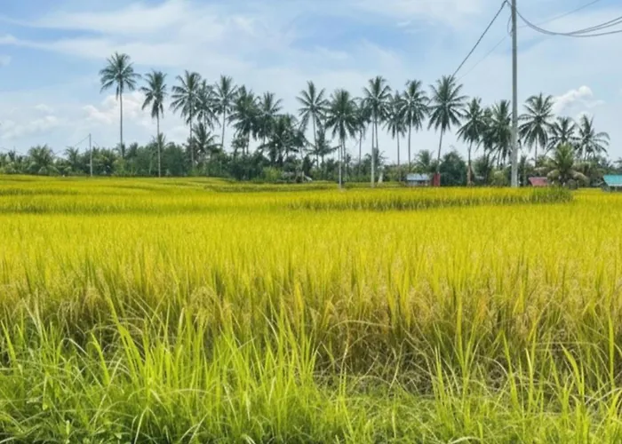 Les Mandarines - Rice Fields & Jungle Retreat Villa