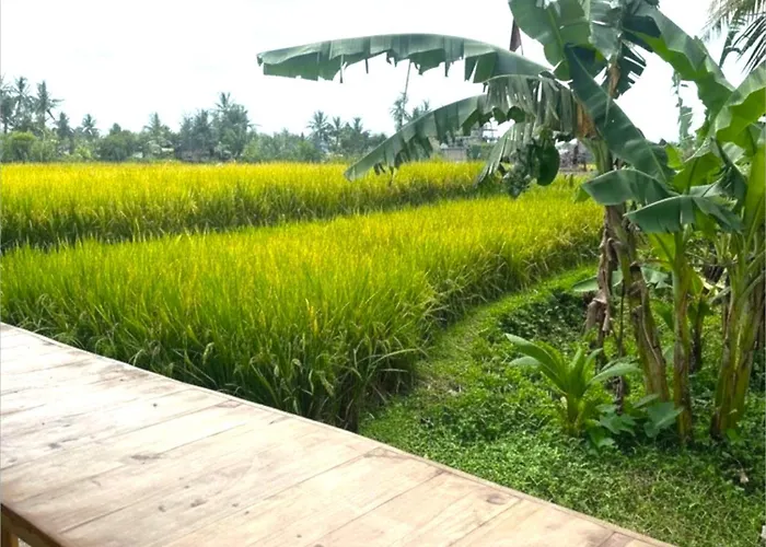 Les Mandarines - Rice Fields & Jungle Retreat Villa *