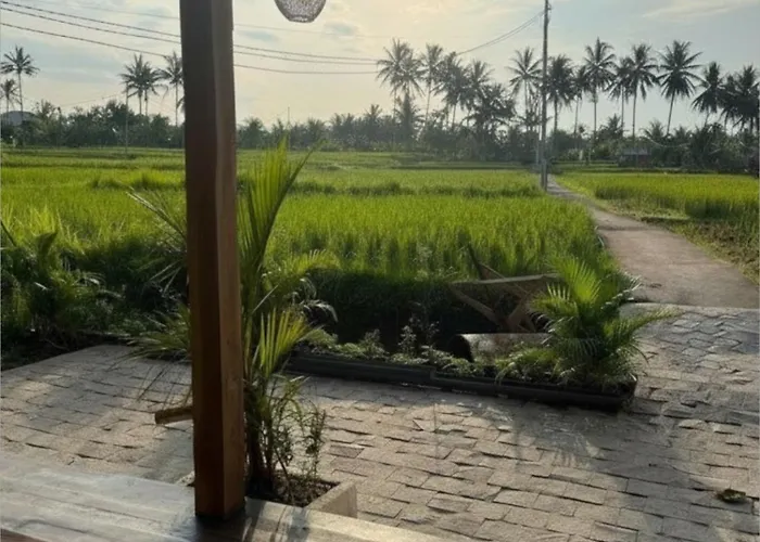 Les Mandarines - Rice Fields & Jungle Retreat Villa Ubud (Bali)