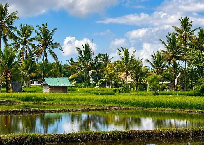 Les Mandarines - Rice Fields & Jungle Retreat *
