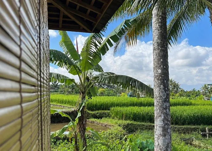 Les Mandarines - Rice Fields & Jungle Retreat *