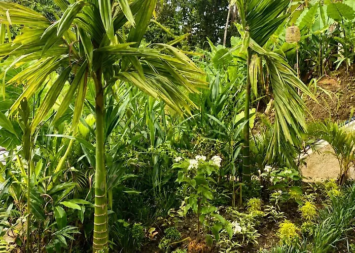 Les Mandarines - Rice Fields & Jungle Retreat Villa *
