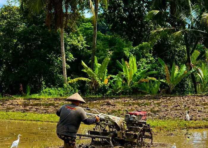 Villa Les Mandarines - Rice Fields & Jungle Retreat Ubud (Bali)